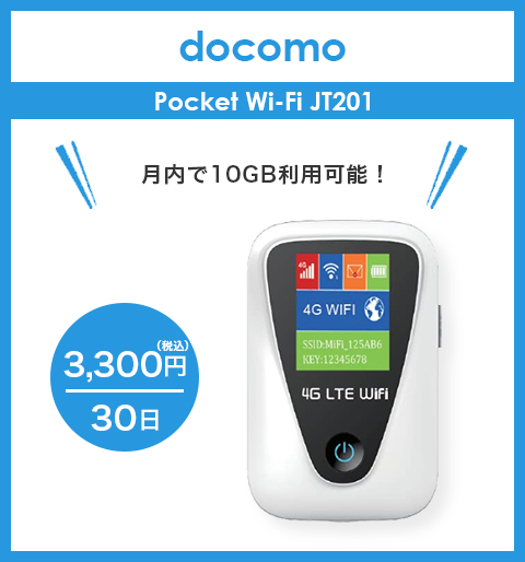 月内で10GB使用可能！